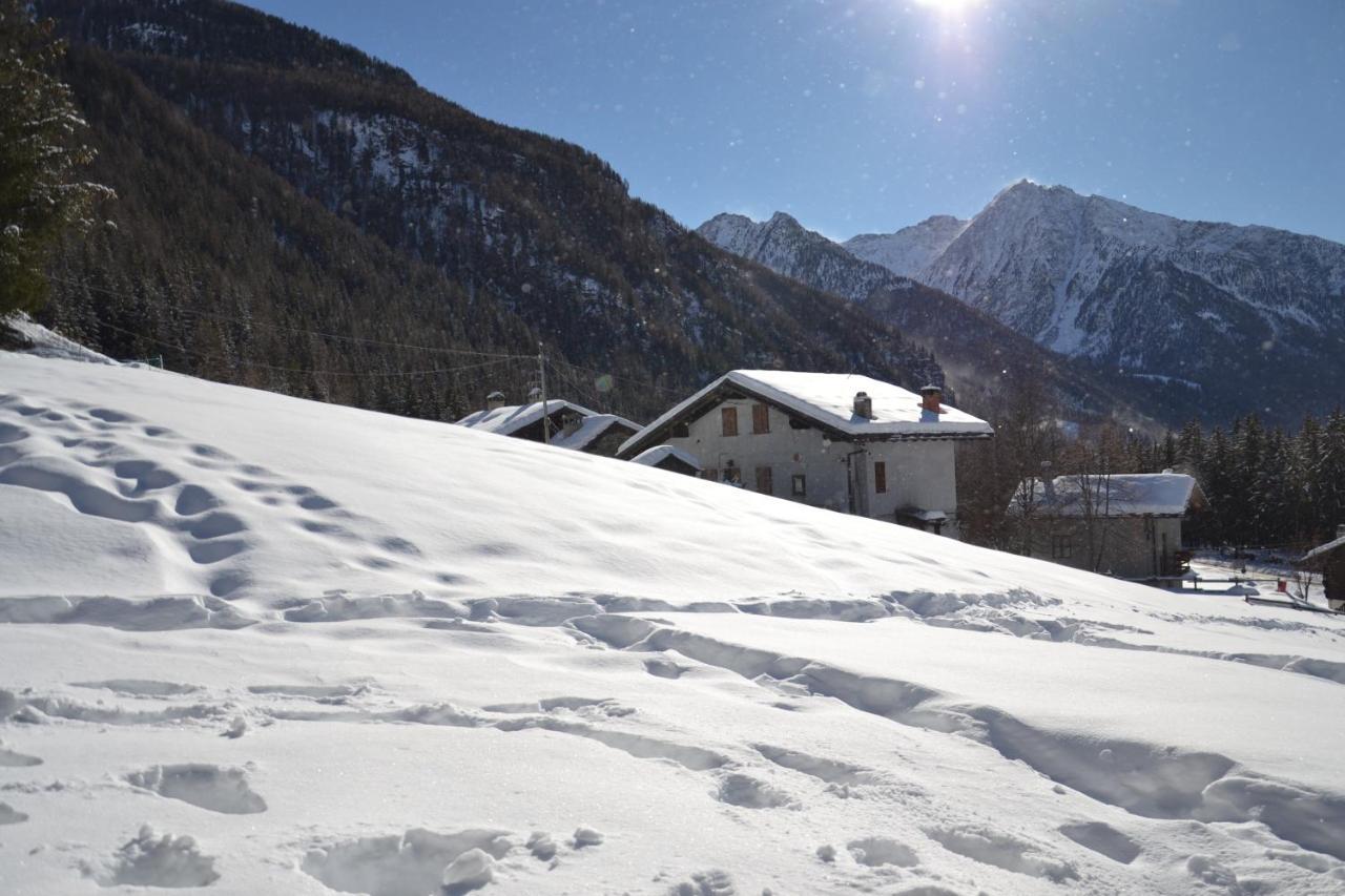 Alle Pendici Del Monte Rosa Champoluc Ngoại thất bức ảnh